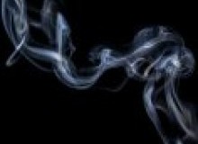 Kwikfynd Drain Smoke Testing
queensbeach